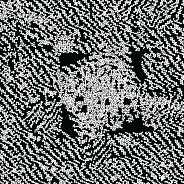 GNT